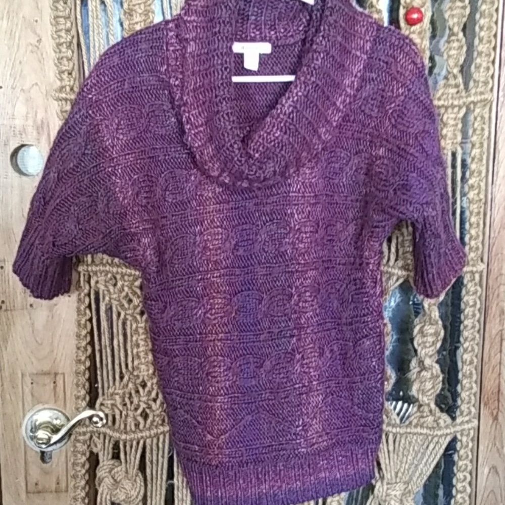 Dress Barn sweater